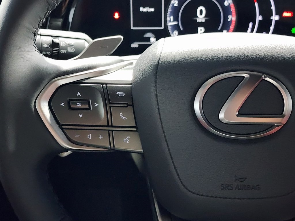 2025 Lexus NX 350 photo 13