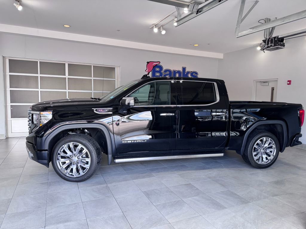 2025 Gmc Sierra 1500 Denali photo 5