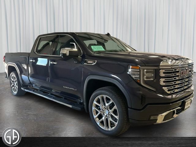 2025 Gmc Sierra 1500 Denali photo 3