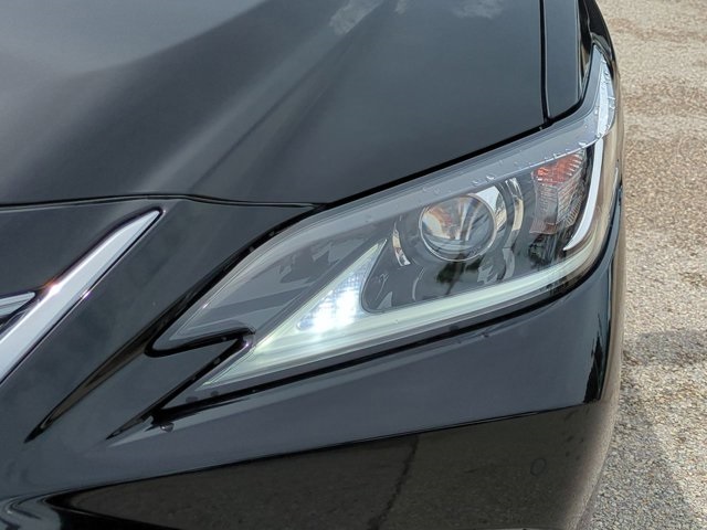 2019 Lexus ES 350 photo 10
