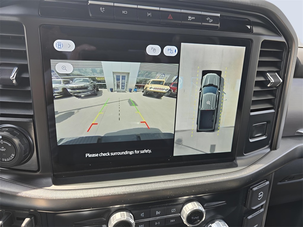 2024 Ford F-150 Platinum photo 14