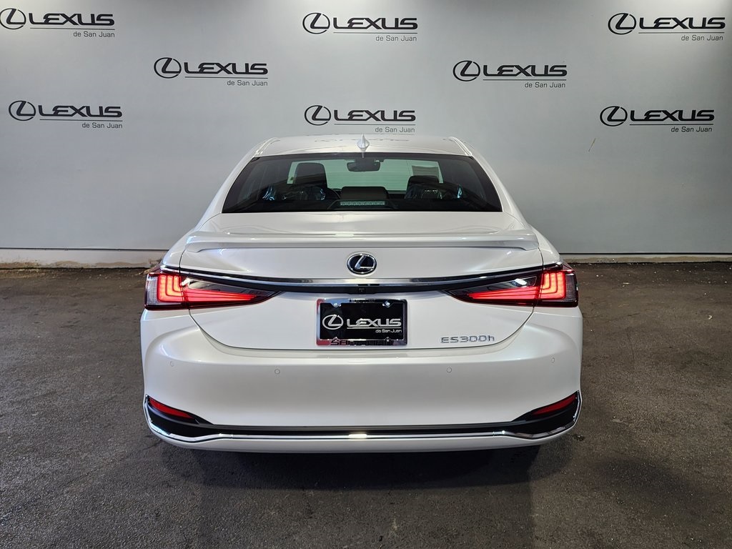 2024 Lexus ES 300h Premium photo 8