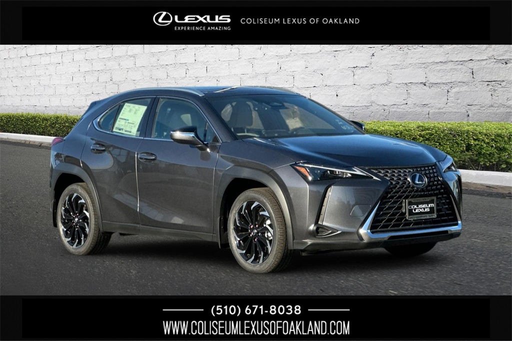 2025 Lexus UX Hybrid 300h's photo
