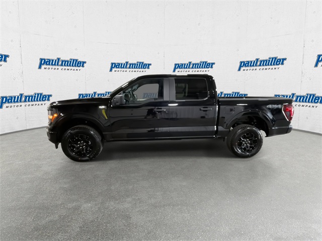 2025 Ford F-150 STX photo 5