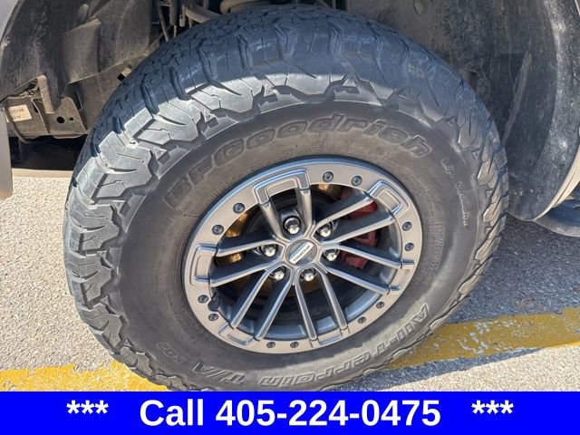 2019 Ford F-150 Raptor photo 8