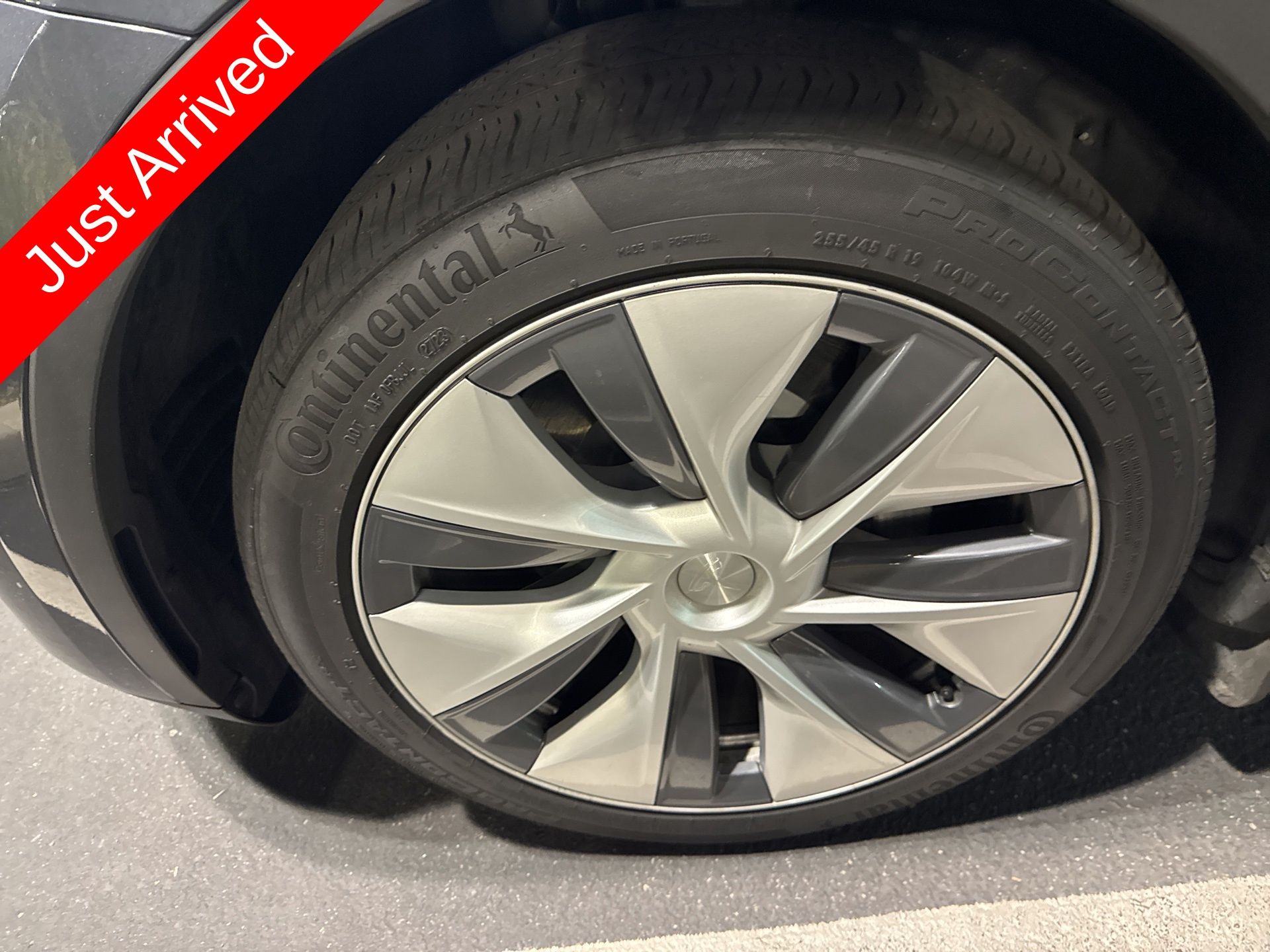 2023 Tesla Model Y Long Range photo 3