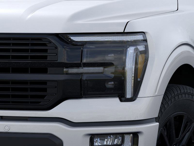 2025 Ford F-150 Platinum photo 17