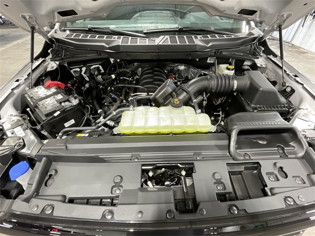 2025 Ford F-150 XLT photo 20