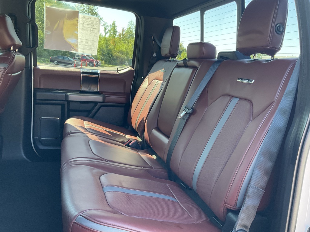2018 Ford F-150 Platinum photo 16