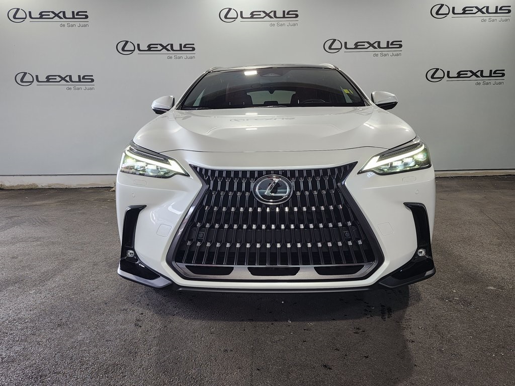 2025 Lexus NX 350h Premium AWD photo 6