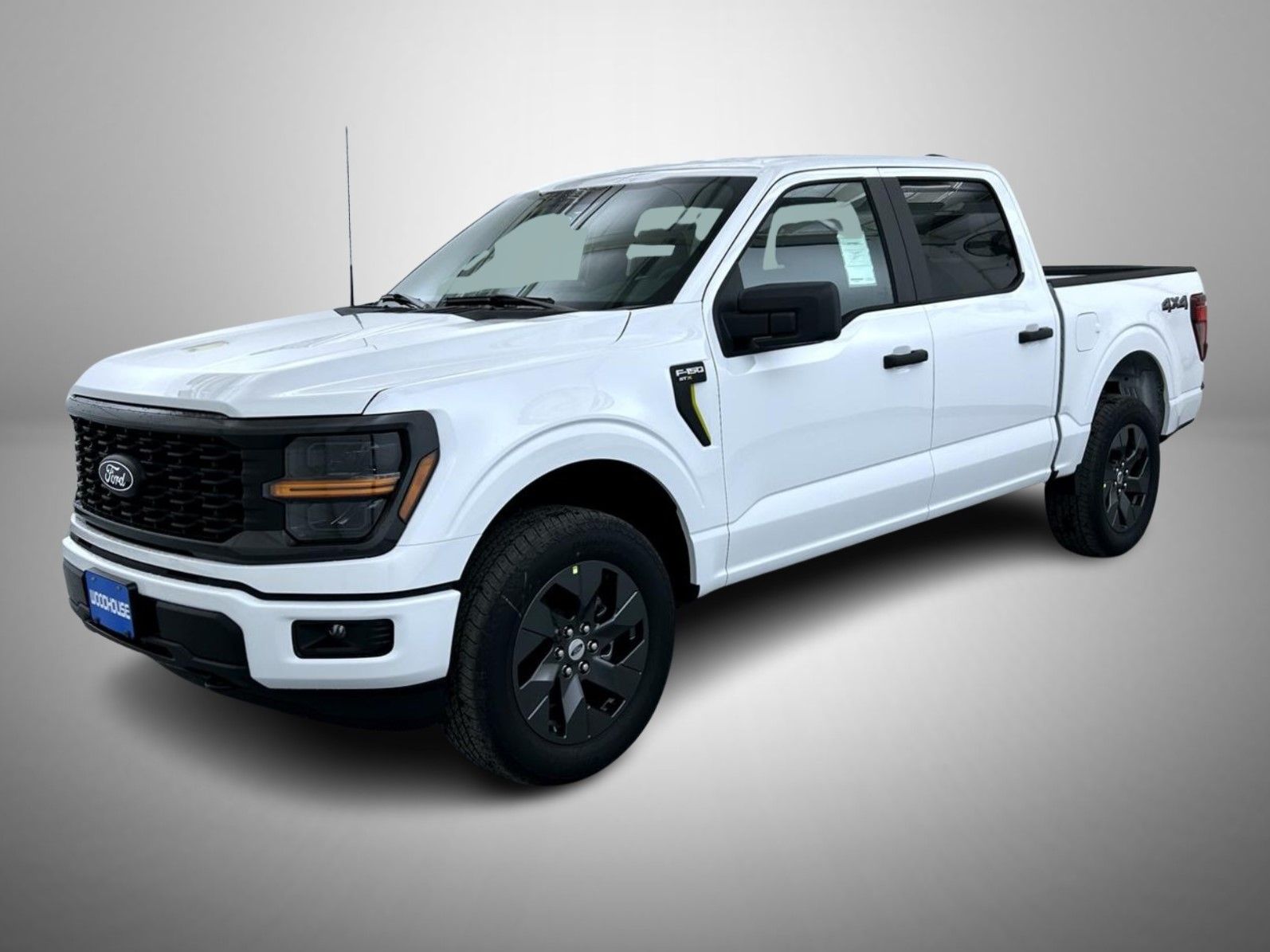 2025 Ford F-150 STX's photo