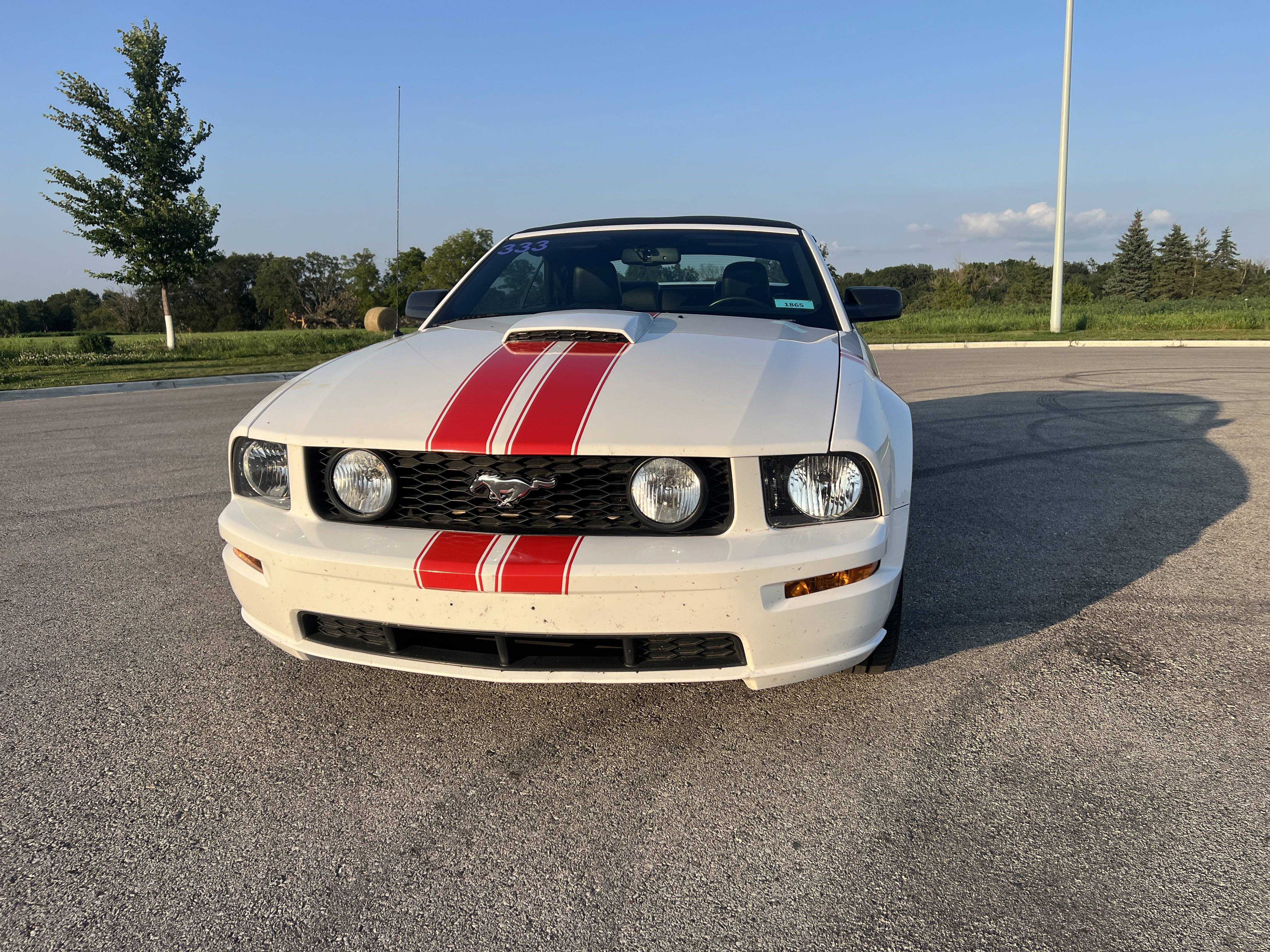 Used 2007 Ford Mustang GT Deluxe with VIN 1ZVHT85H275203604 for sale in Saint Charles, Minnesota