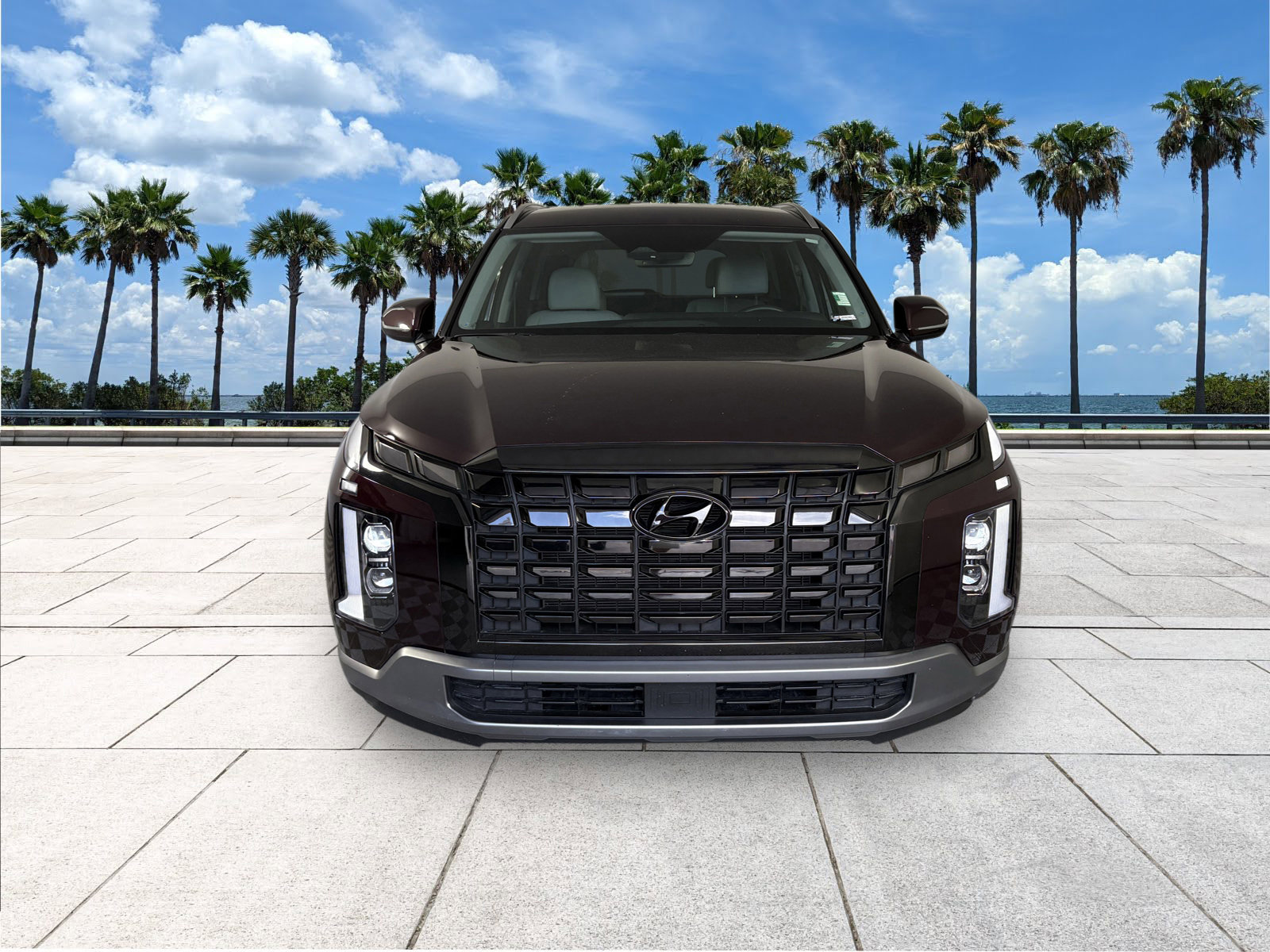 2023 Hyundai Palisade SEL photo 3