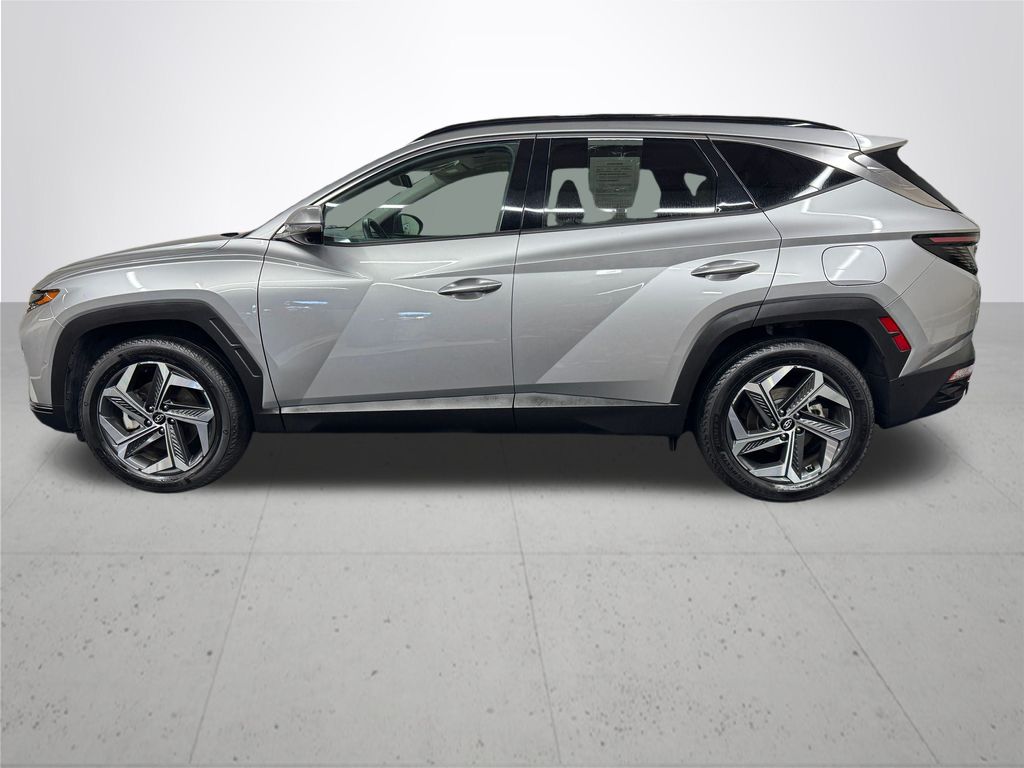 2024 Hyundai Tucson Limited photo 2