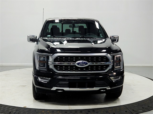 2023 Ford F-150 Platinum photo 2