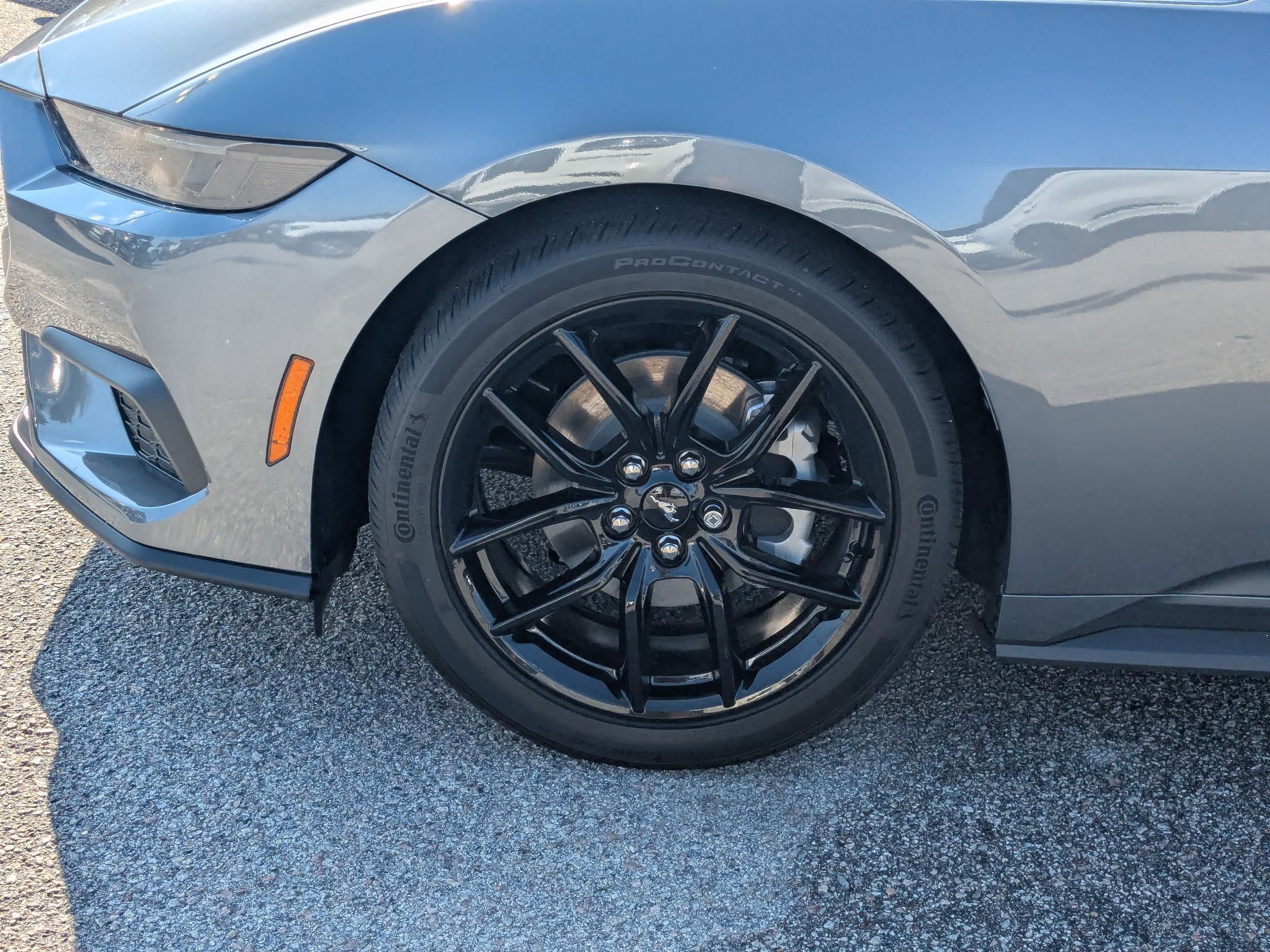 2025 Ford Mustang EcoBoost photo 6