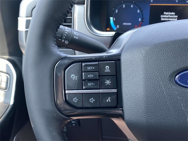 2025 Ford F-150 Platinum photo 17