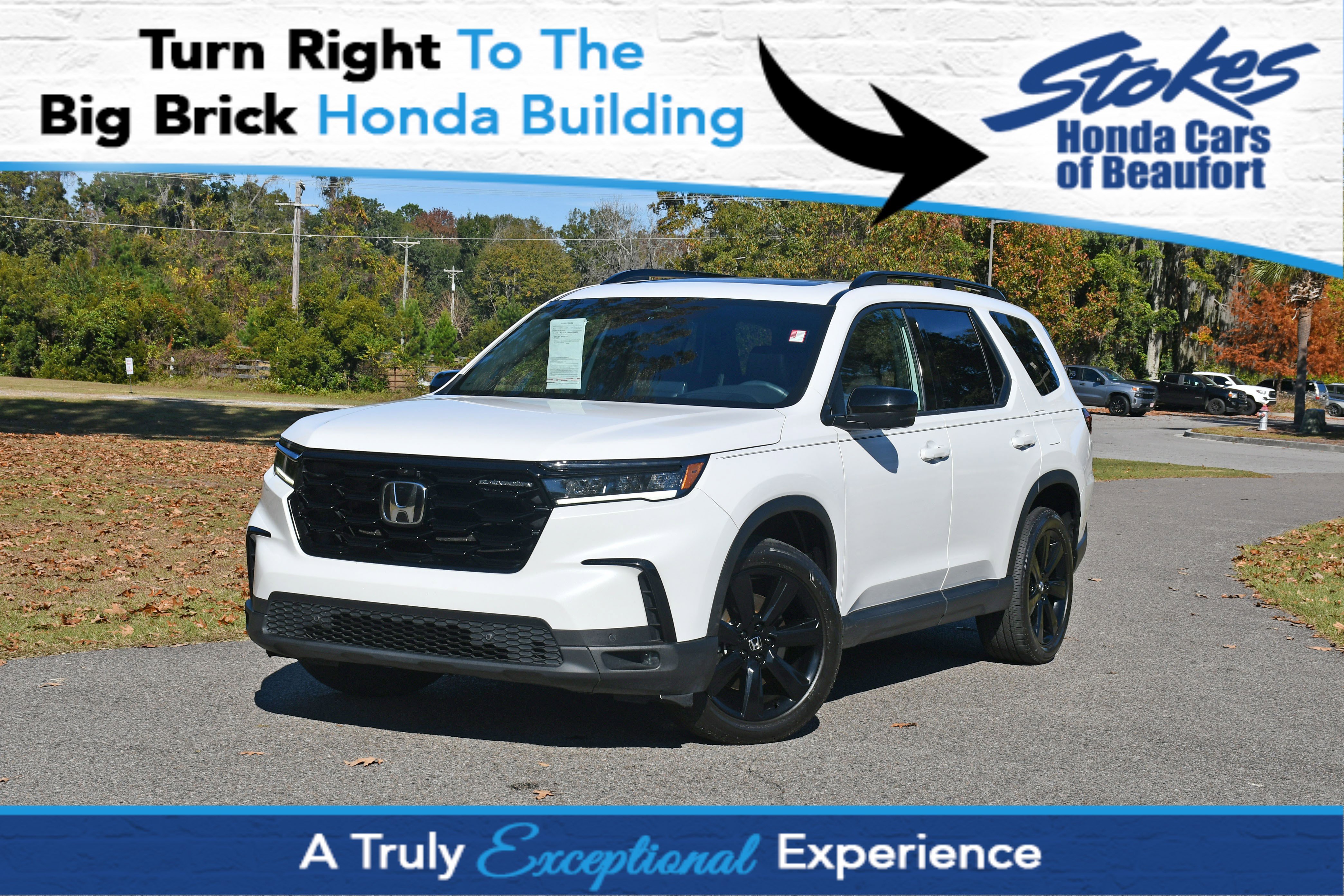 2025 Honda Pilot Black Edition's photo