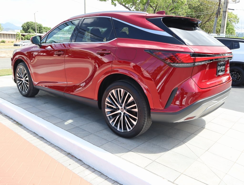 2025 Lexus RX 350 photo 7