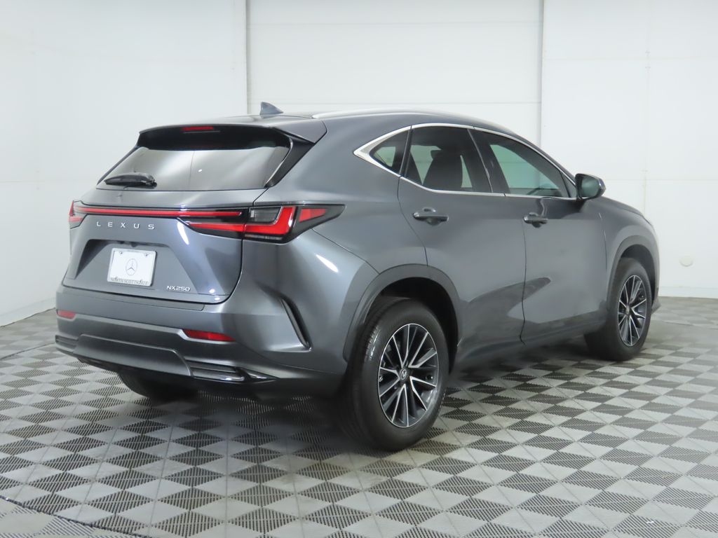 2024 Lexus NX 250 photo 3