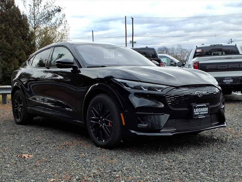 2025 Ford Mustang Mach-E Premium AWD's photo
