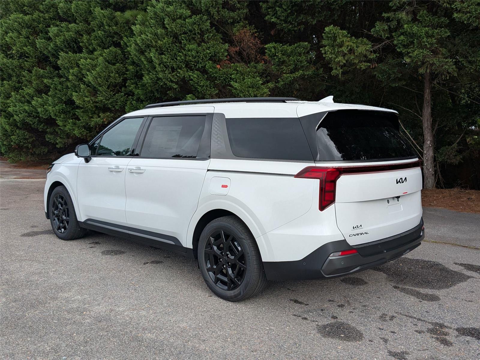 2026 Kia Carnival SX photo 9