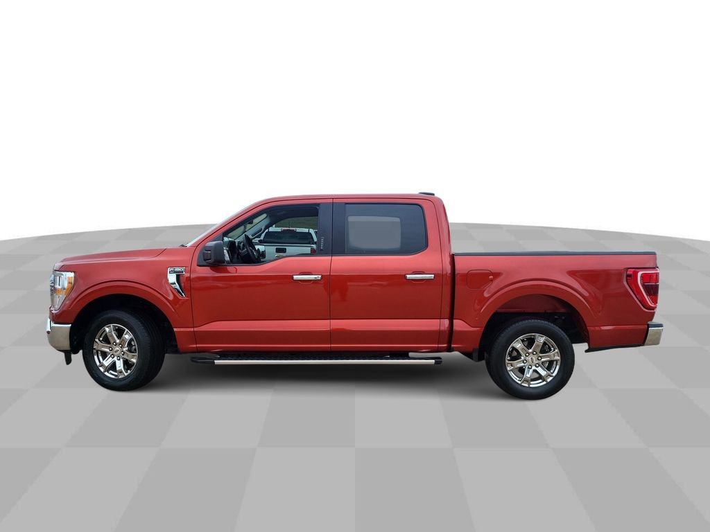 2023 Ford F-150 XLT photo 4