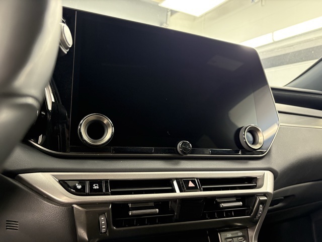 2024 Lexus RX 450h+ Luxury photo 10