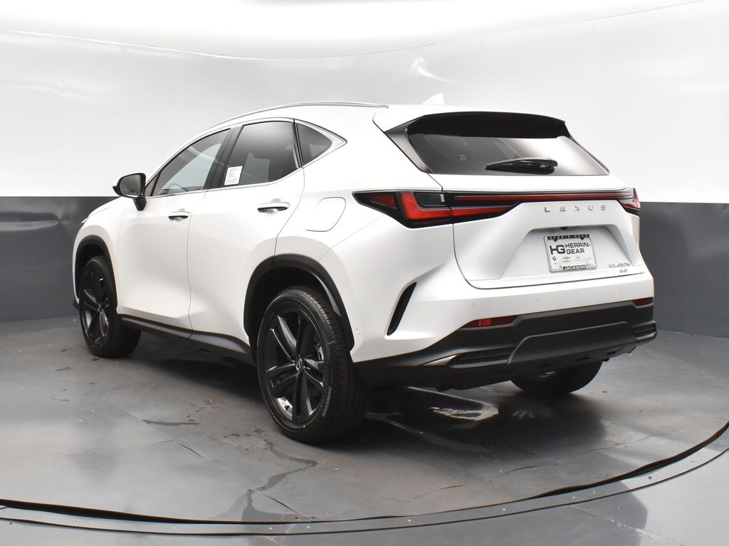 2025 Lexus NX 450h+ Luxury AWD photo 5