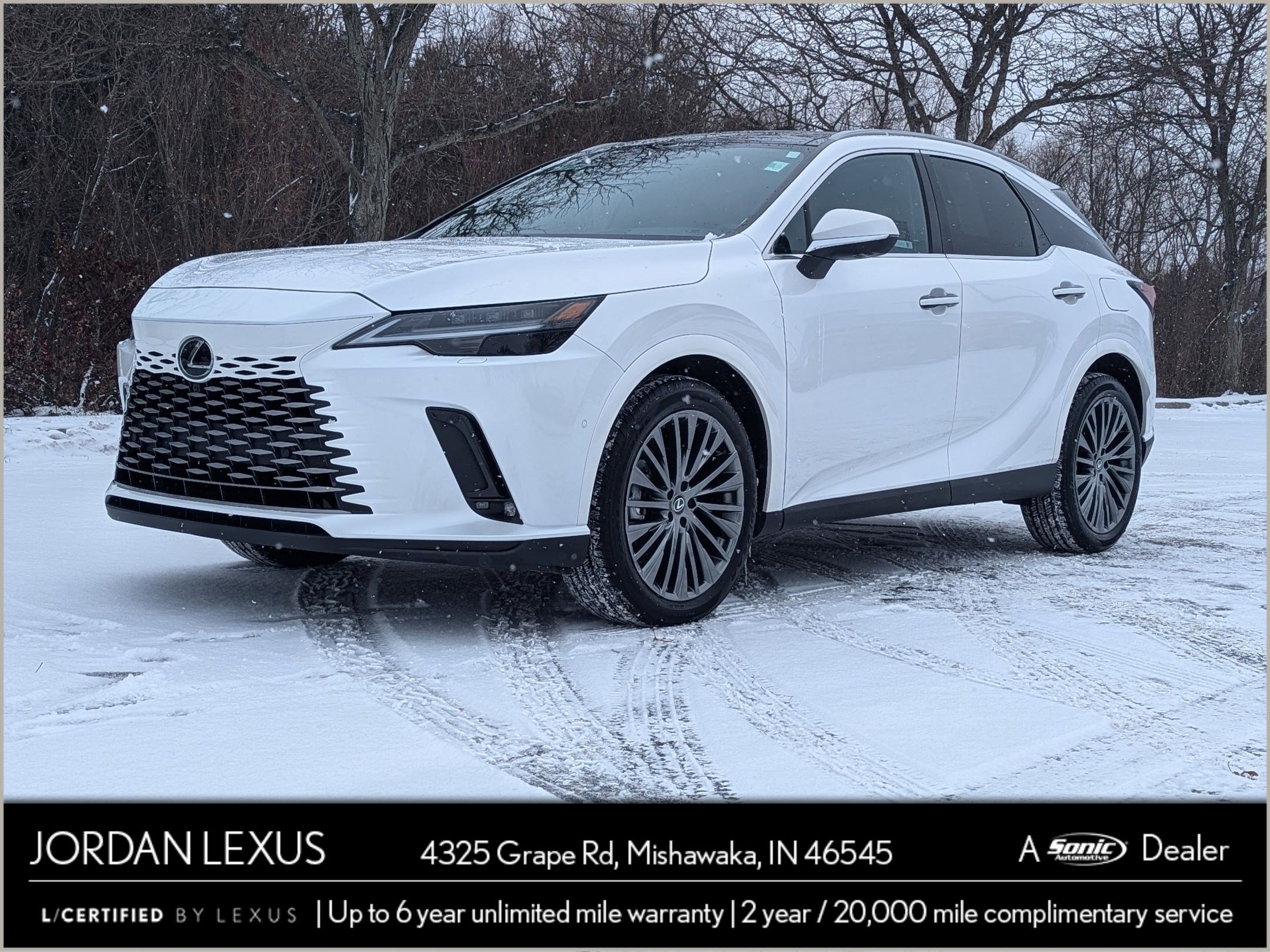 2025 Lexus RX 350's photo