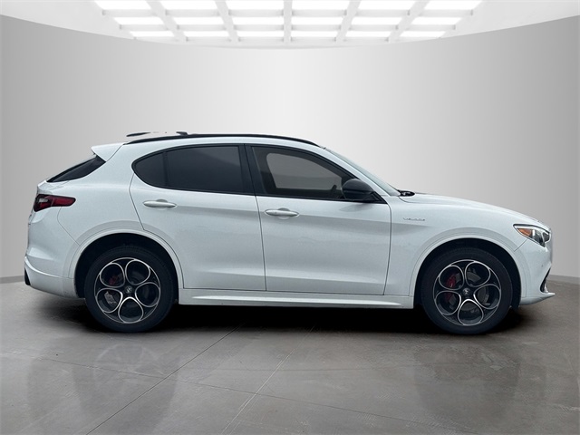 2022 Alfa Romeo Stelvio Ti Sport photo 8