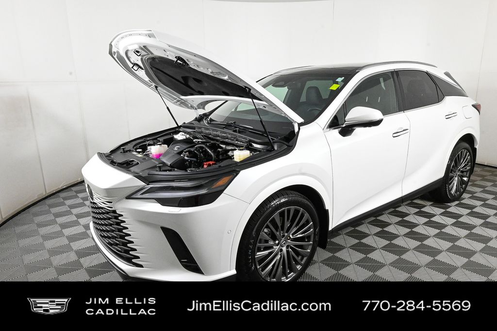 2024 Lexus RX Luxury photo 31