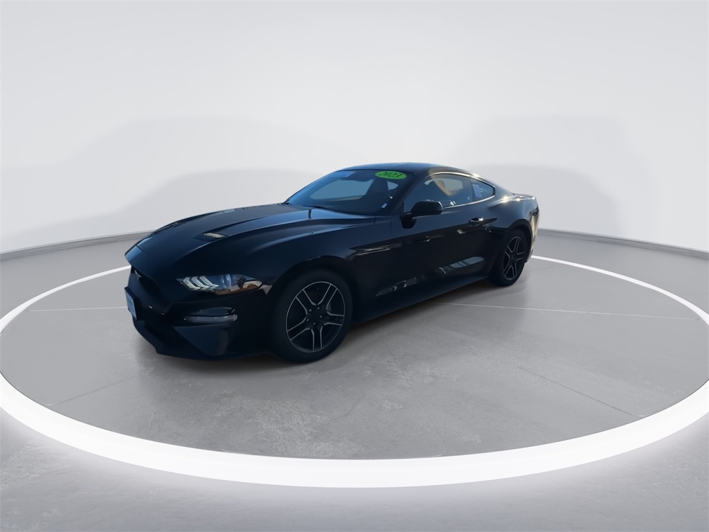 2023 Ford Mustang EcoBoost Premium photo 4