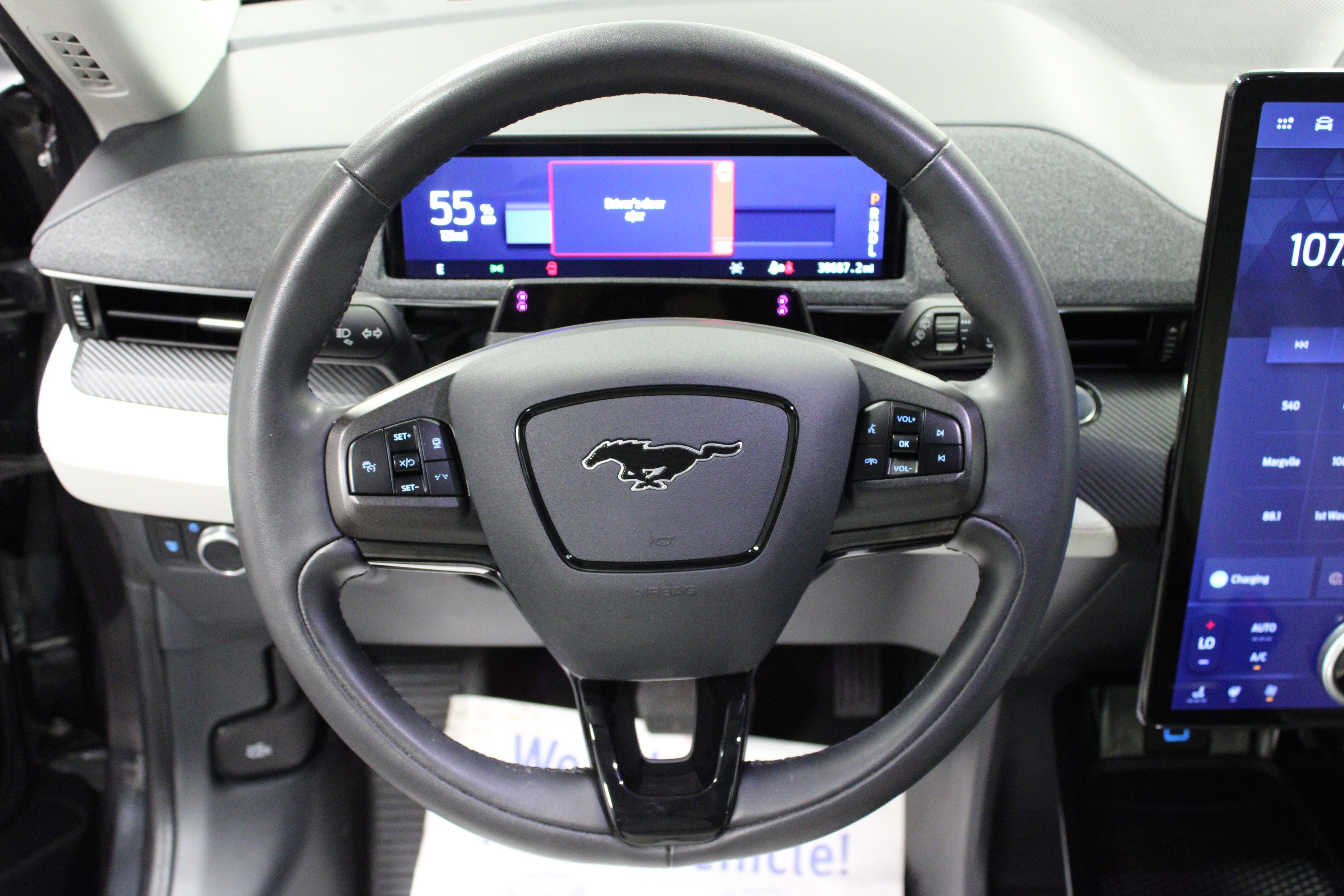 2022 Ford Mustang Mach-E Premium photo 15