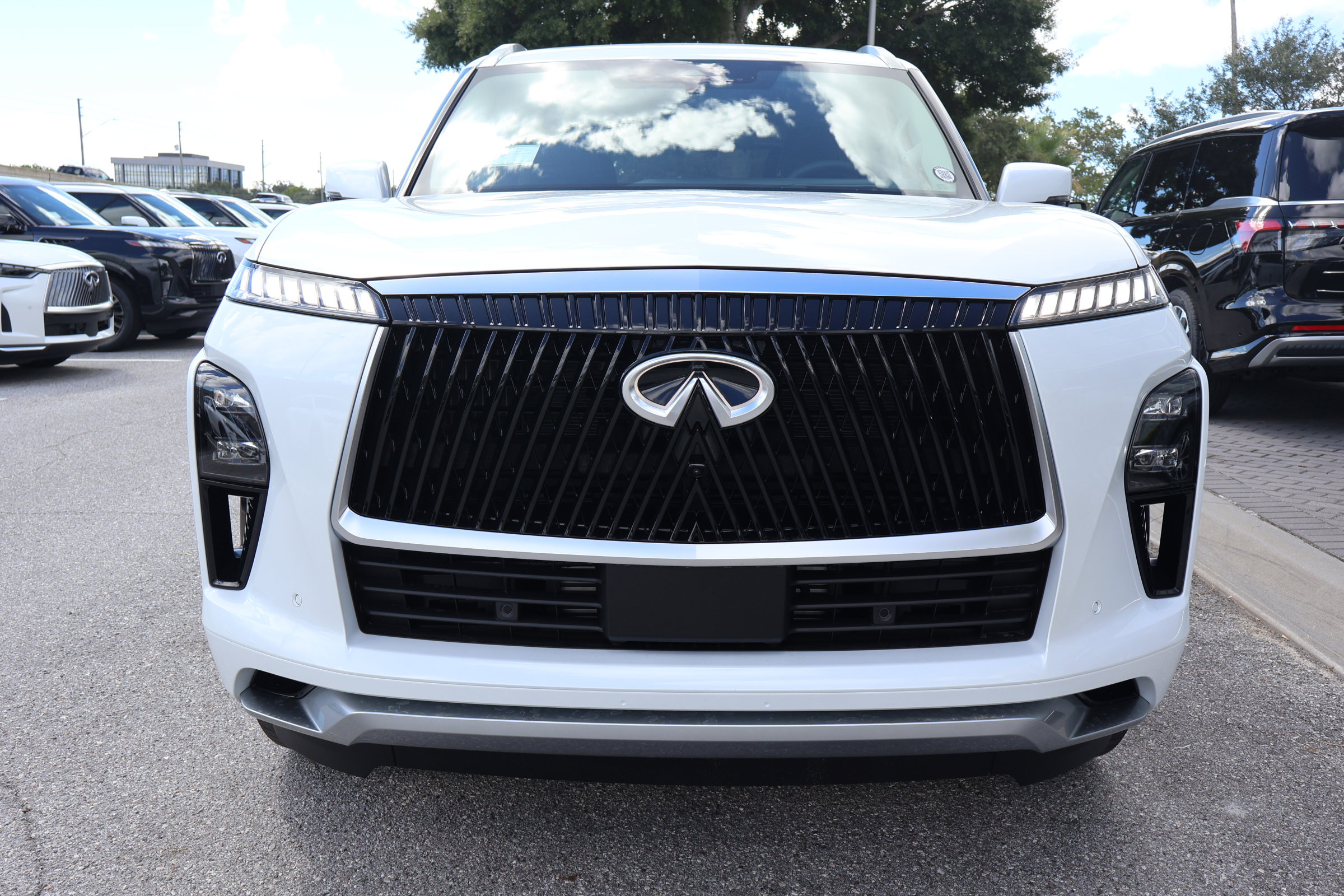 2026 Infiniti QX80 Luxe photo 8