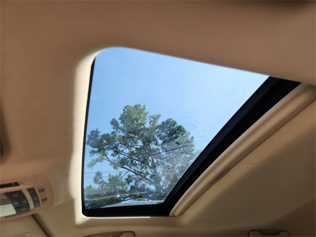 View 19