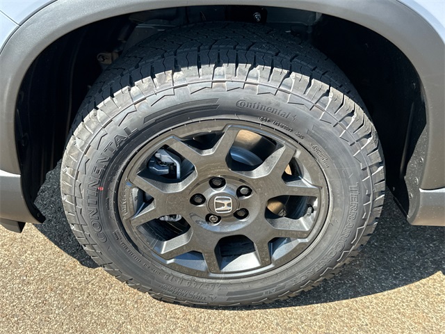 2025 Honda Pilot TrailSport photo 3