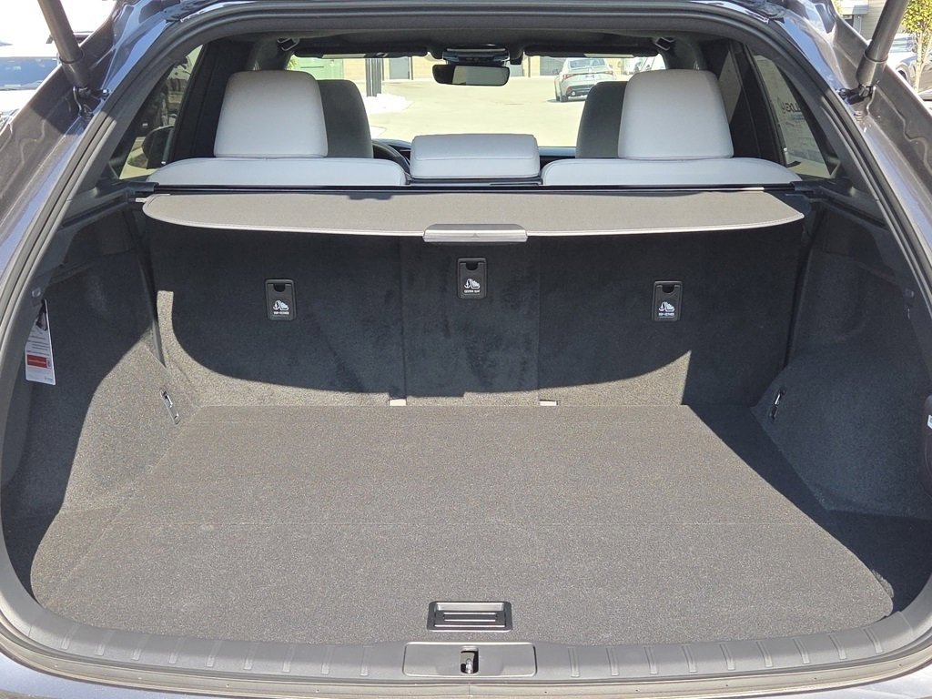 2025 Lexus RX 350 Premium photo 28