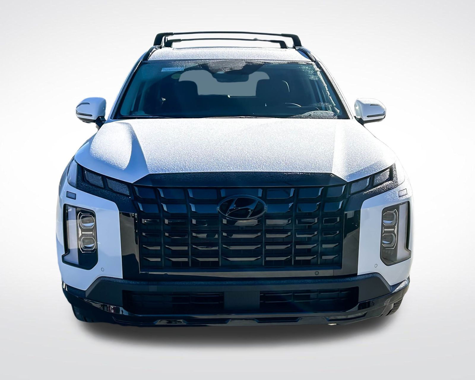 2025 Hyundai Palisade XRT photo 2