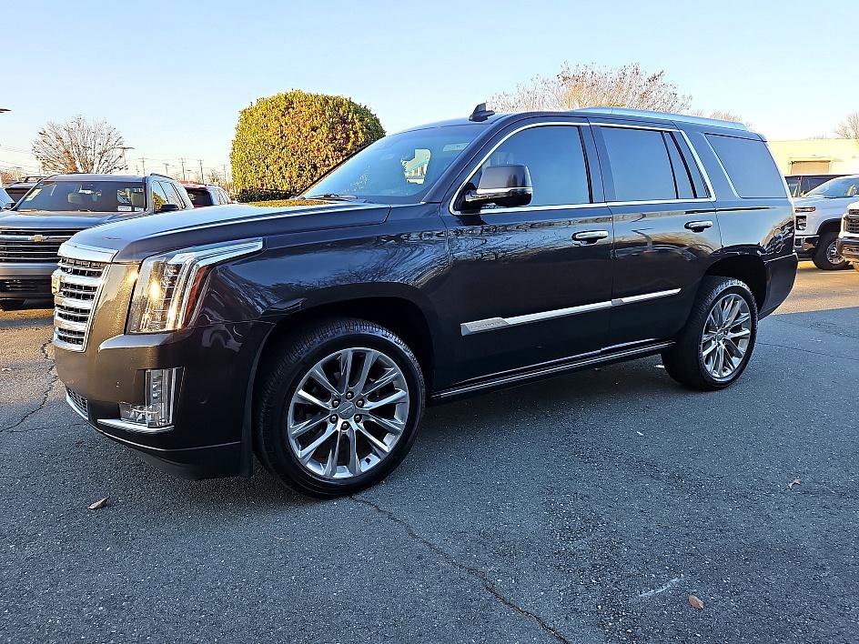 2019 Cadillac Escalade Platinum's photo