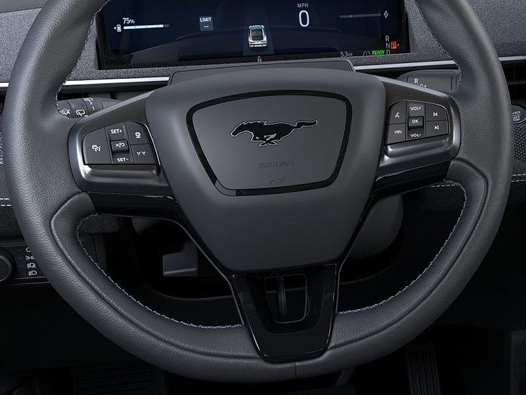 2025 Ford Mustang Mach-E GT photo 12
