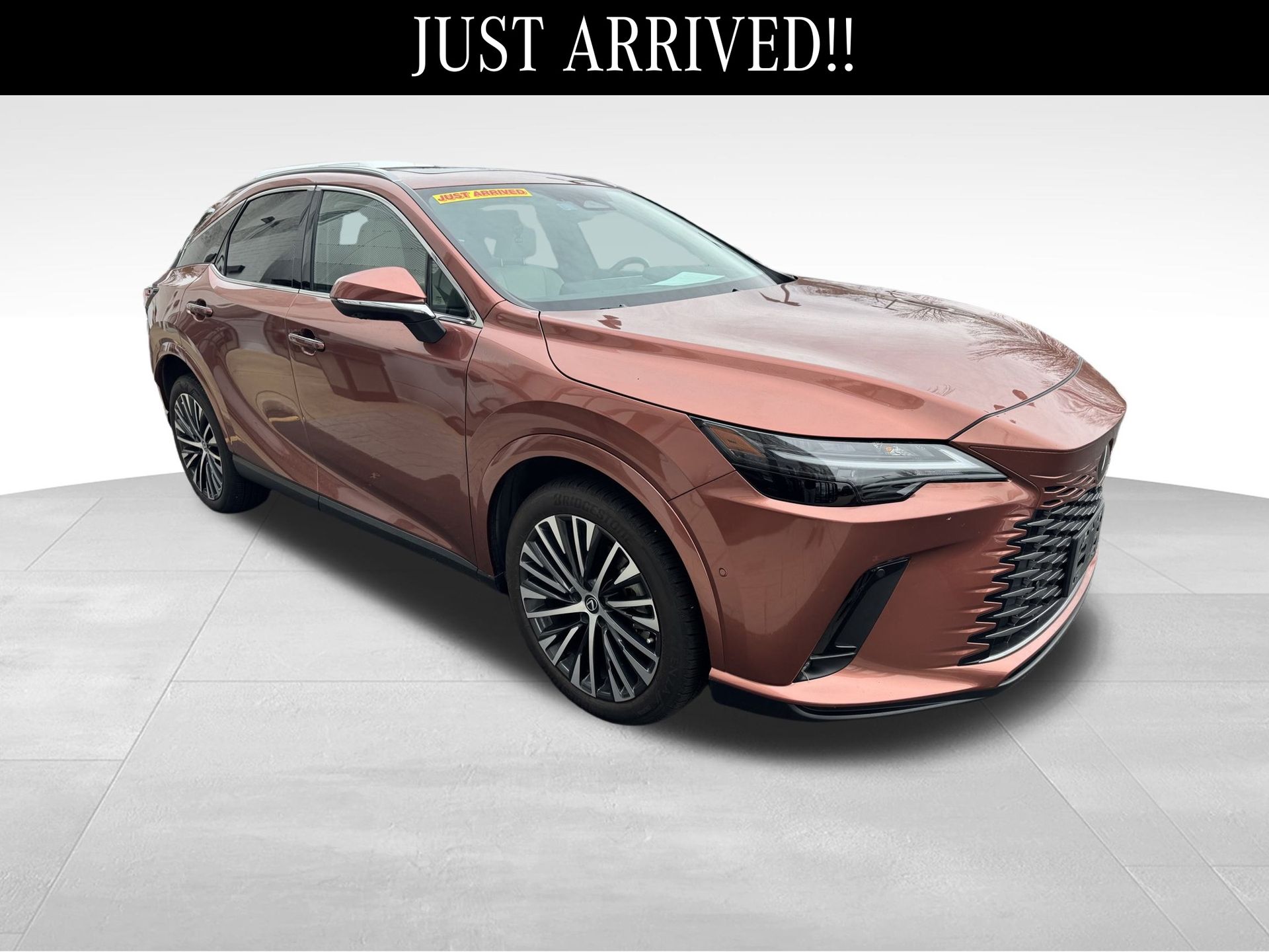 2024 Lexus RX 350's photo