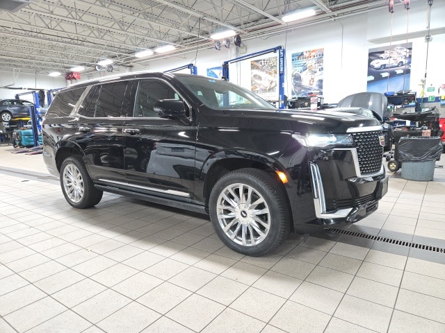 2023 Cadillac Escalade Premium Luxury's photo