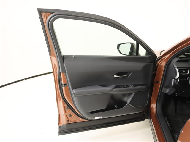 2025 Lexus UX Premium photo 10