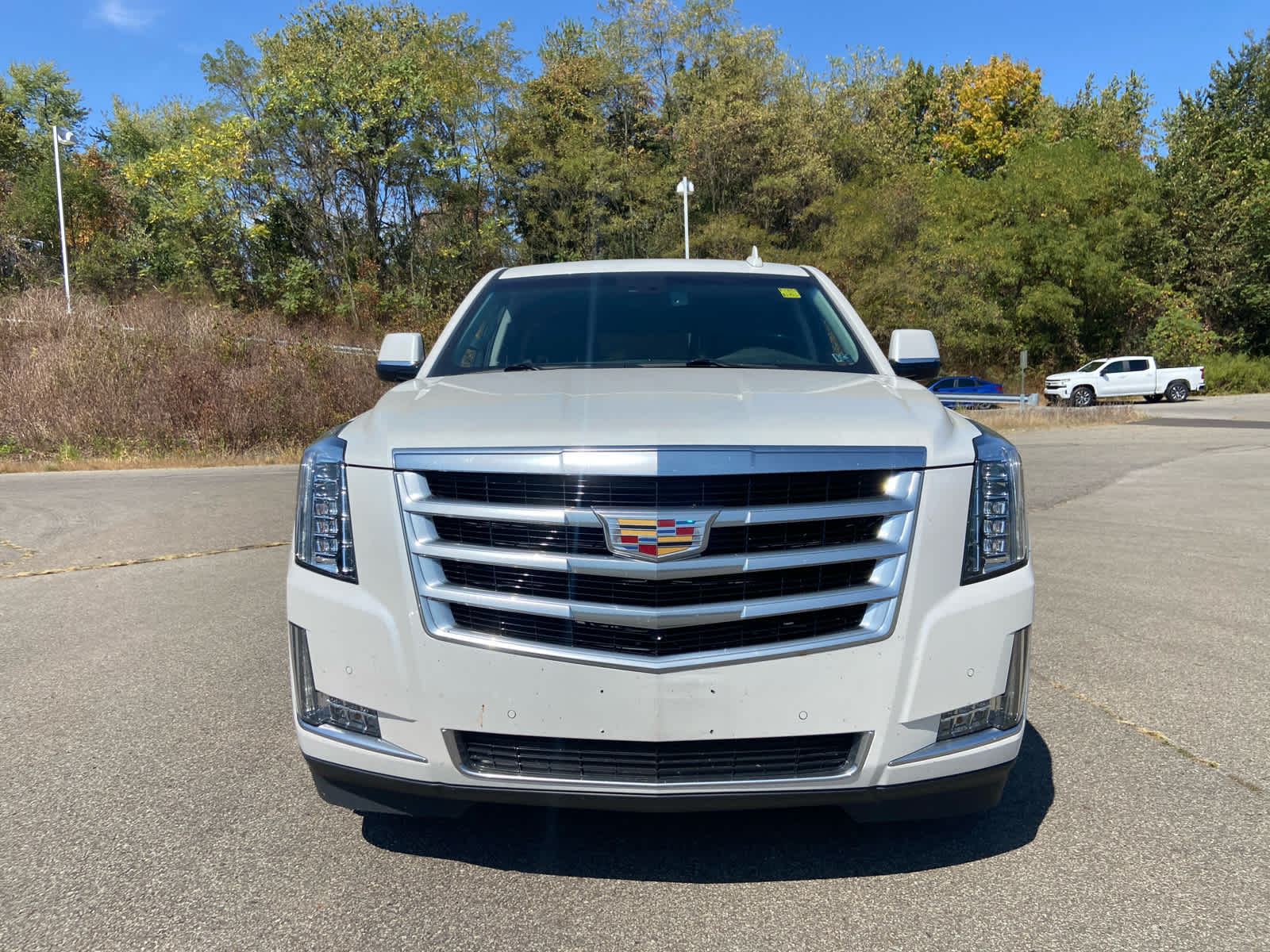2016 Cadillac Escalade Luxury photo 9