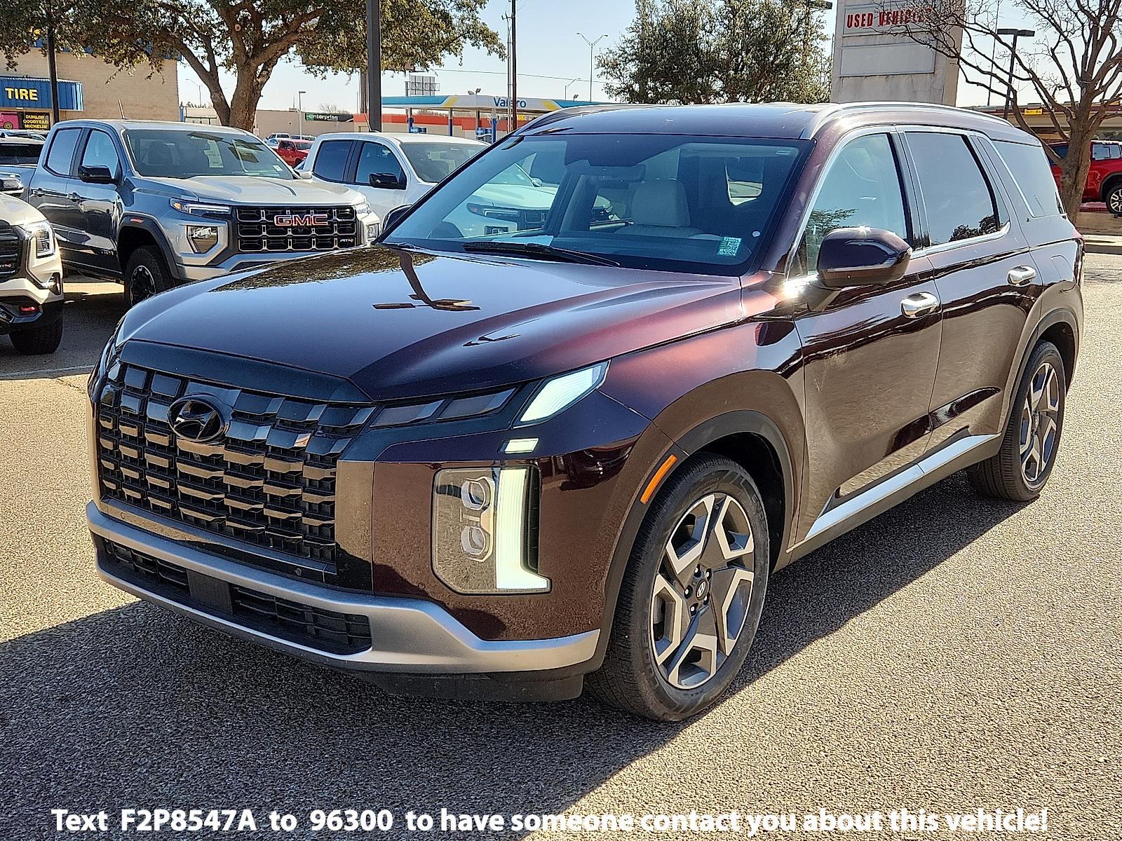 2024 Hyundai Palisade Limited's photo