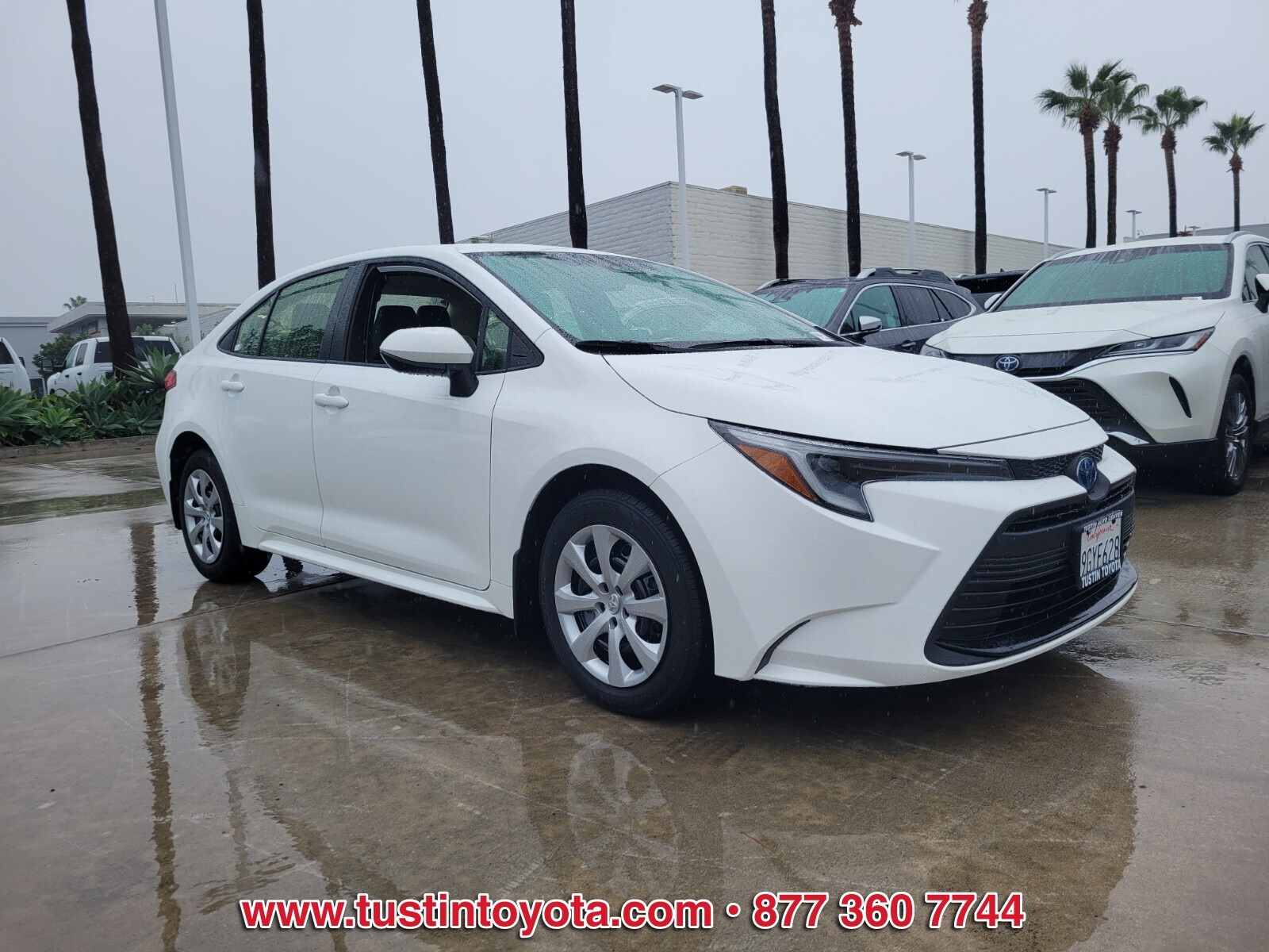 Certified 2023 Toyota Corolla LE with VIN JTDBCMFE6P3021809 for sale in Northfield, Minnesota