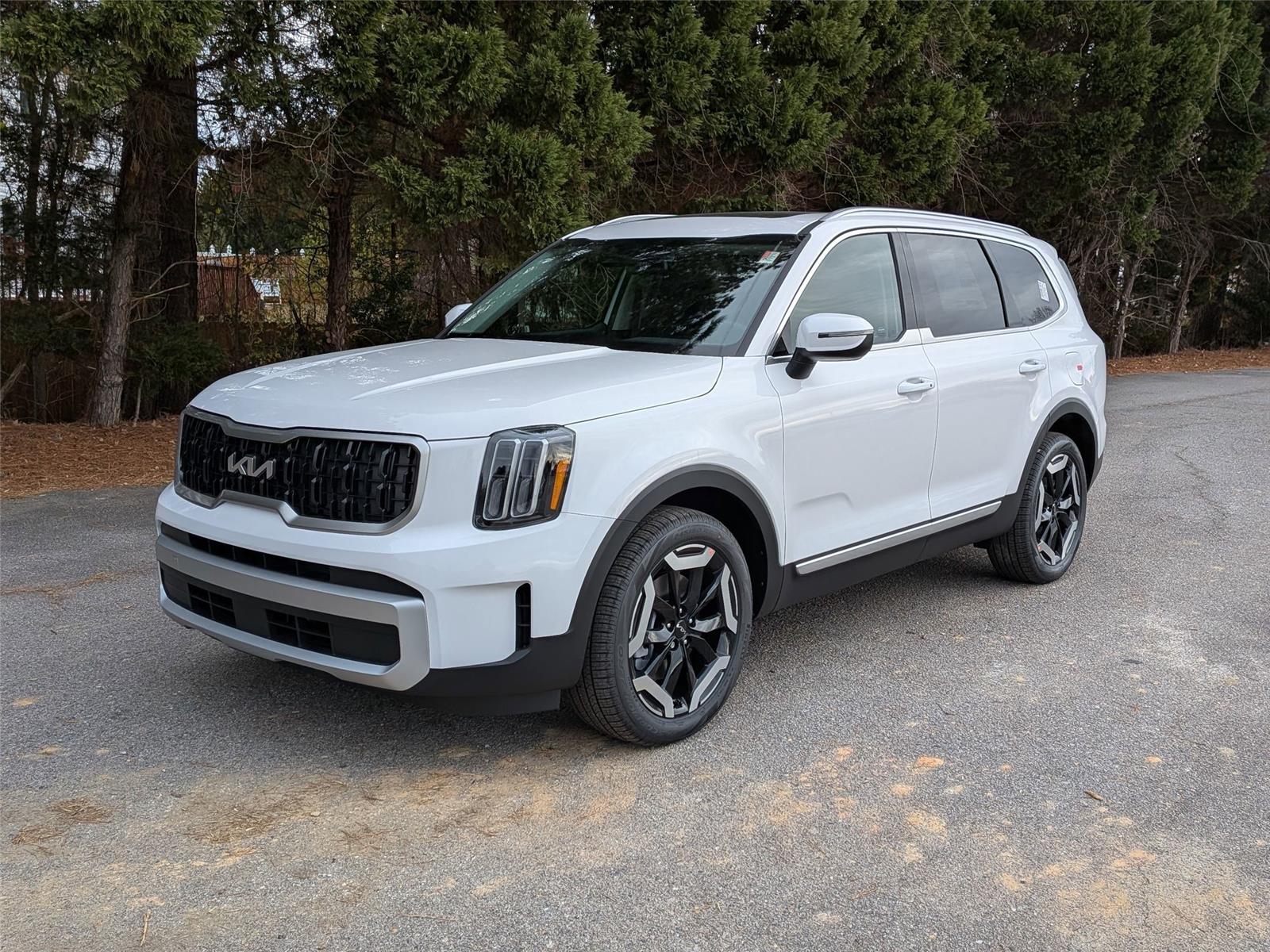 2025 Kia Telluride EX's photo