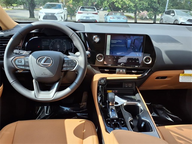 2025 Lexus NX 250 Premium photo 12