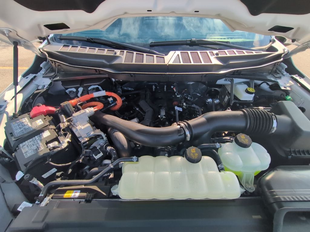 2025 Ford F-150 XLT photo 19